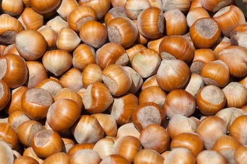 The background consisting of a set  nuts Stock Photos