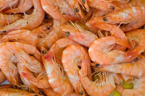 Background of cooked prawns Stock Photos