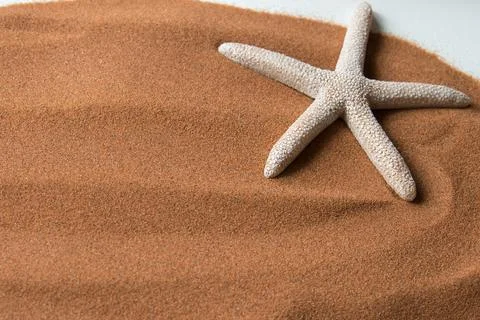 Background with copy space, beach sand and a starfish. Stock Photos