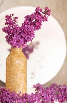 Background with copy space blank on table with lilac purple flower. White pap Stock Photos