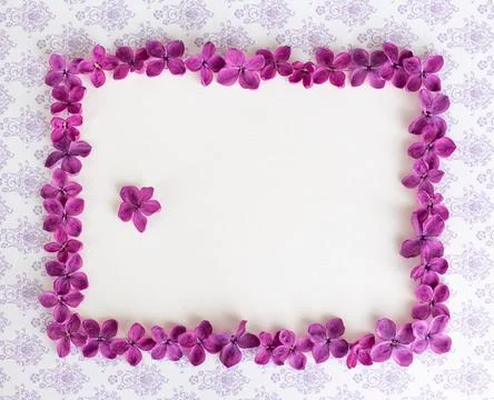 Background with copy space blank on table with lilac purple flower. White pap Stock Photos