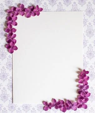 Background with copy space blank on table with lilac purple flower. White pap Stock Photos