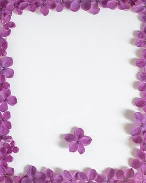 Background with copy space blank on table with lilac purple flower. White pap Stock Photos