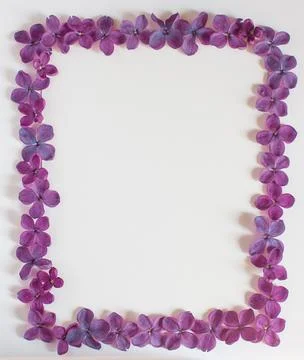 Background with copy space blank on table with lilac purple flower. White pap Stock Photos