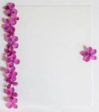 Background with copy space blank on table with lilac purple flower. White pap Stock Photos