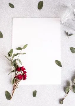 Background with copy space blank on white table with glitter heart, eucalyptu Stock Photos