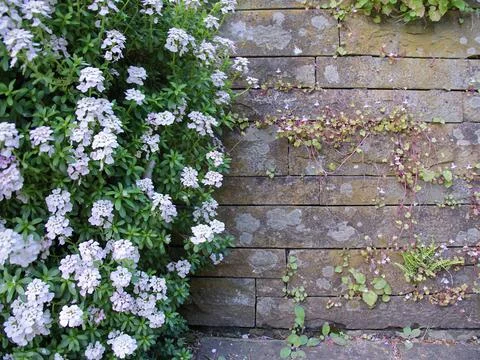 Background with copy space 스톡 사진