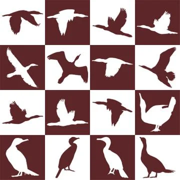 Background with cormorant Stock Illustration