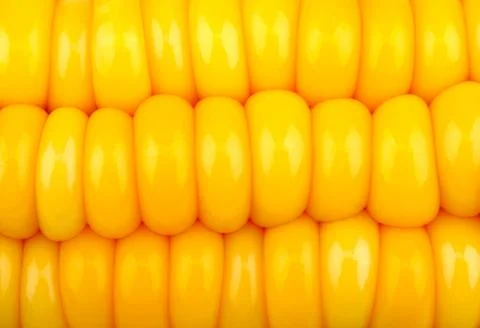 Background of corn grains Stock Photos