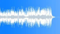 Background Country Music for Documentary (no lead slide guitar) Stock Music