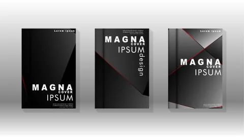 The background of the cover design pattern. Red triangle line. Vector front p 스톡 일러스트