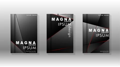 The background of the cover design pattern. Red triangle line. Vector front p Stock Illustration