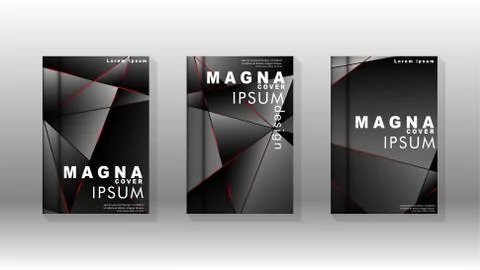 The background of the cover design pattern. Red triangle line. Vector front p Stock Illustration