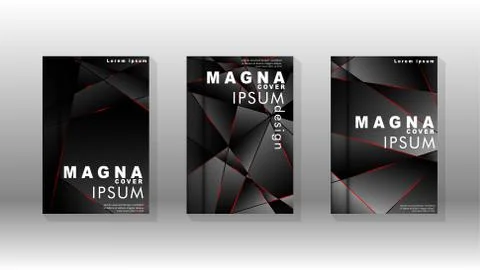 The background of the cover design pattern. Red triangle line. Vector front p Stock Illustration