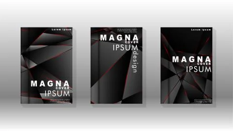 The background of the cover design pattern. Red triangle line. Vector front p Illustrazione stock