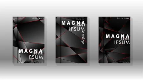 The background of the cover design pattern. Red triangle line. Vector front p Stock Illustration