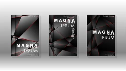 The background of the cover design pattern. Red triangle line. Vector front p Illustrazione stock