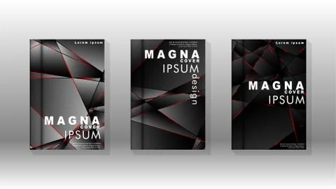 The background of the cover design pattern. Red triangle line. Vector front p Stock Illustration