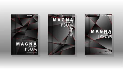 The background of the cover design pattern. Red triangle line. Vector front p 스톡 일러스트