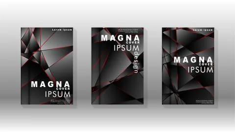 The background of the cover design pattern. Red triangle line. Vector front p Stock Illustration