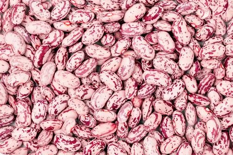 Background of Cranberry or pinto beans, Young, raw, fresh beans Stock Photos
