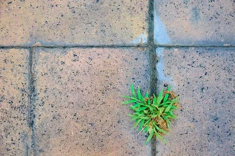 Background created by a close-up of a stone pavement. Stock Photos
