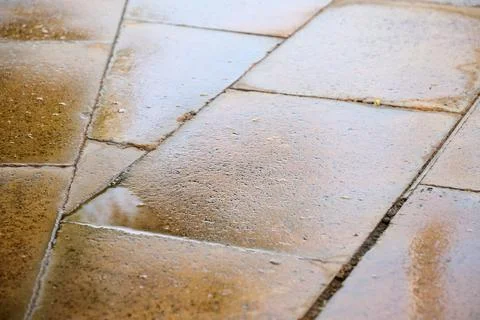 Background created with a close-up of a wet stone floor. Stock Photos