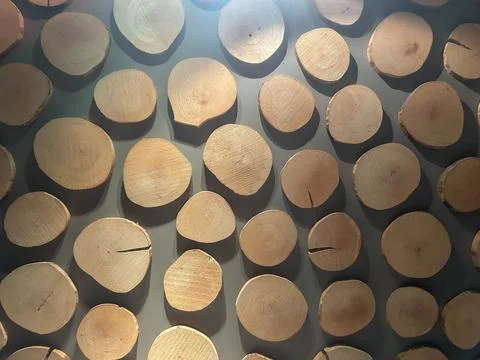 Background created from trees cut into pieces Stock Photos