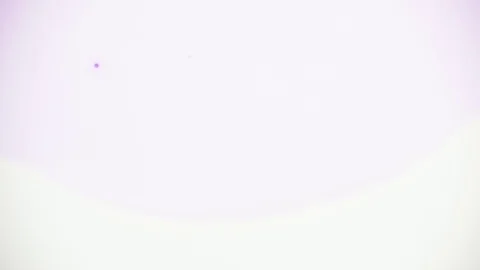 Background created by water-based paints Stock Footage 98405032