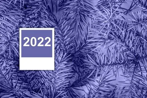 Background creative image with close up texture of fir branches in color of year Foto stock