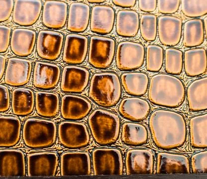 Background of the crocodile Foto stock