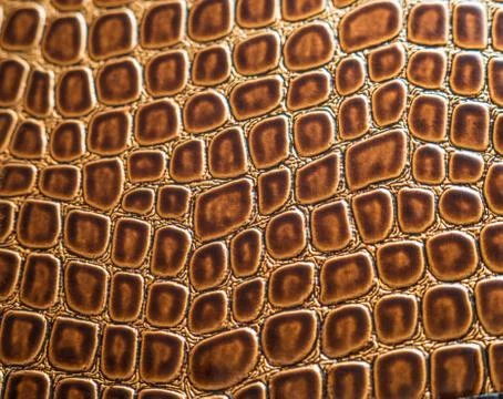 Background of the crocodile Stock-Fotos