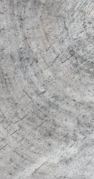 Background from a cross section of a tree trunk. Abstract texture from the ri Stock Photos