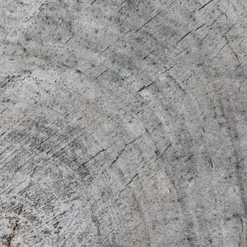 Background from a cross section of a tree trunk. Abstract texture from the ri Stock Photos