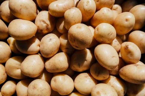 Background from a crude not washed potato. Stock Photos