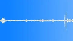Background Cuba Square Congreso Walla Bird Chirps Pedestrian Walking BSound Effect