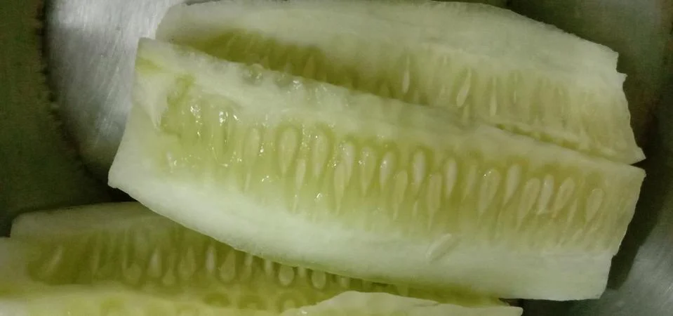 Background from cucumbers - macro Stock Photos