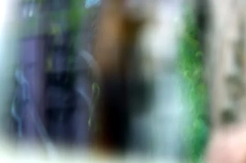 Background curiously unsharp Foto stock