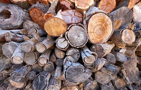 Background of cutted logs. Firewood stack natural background Background of... Stockfoto's