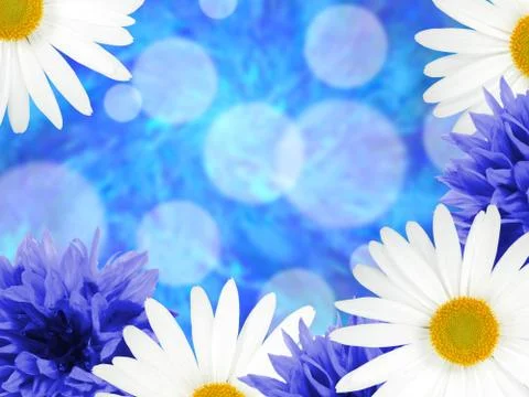 Background with daisies and cornflowers Stock Illustration