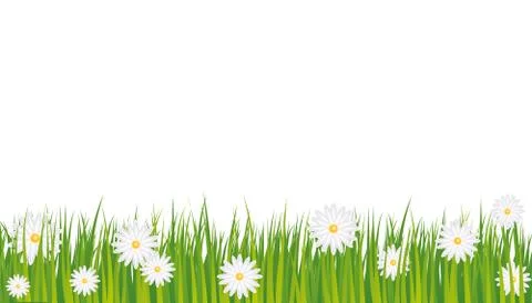 Background daisies Stock Illustration