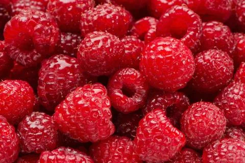 Background from damp berries of raspberry Stock Photos