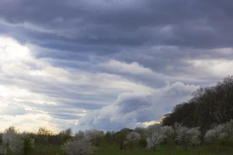 Background of dark white clouds before a thunderstorm and rain, over green tr Stock Photos