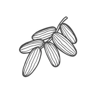 Background with date fruit Stock Illustration