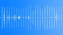 Background Dawn Ambience EarlySound Effect