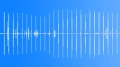 Background Dawn Ambience EarlySound Effect