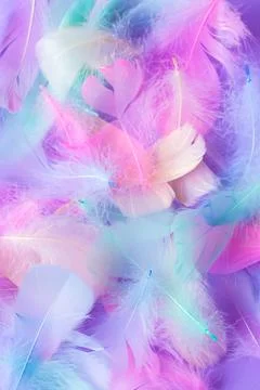 Background with decorative elements of multi-colored feathers, pink, blue, mint Foto stock