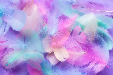 Background with decorative elements of multi-colored feathers, pink, blue, mint Stock Photos