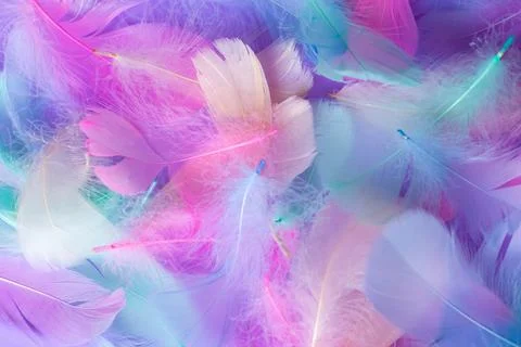 Background with decorative elements of multi-colored feathers, pink, blue, mint Foto stock