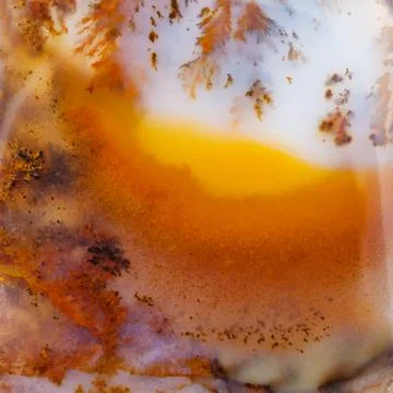 Background from Dendritic Agate gem stone close up Foto stock